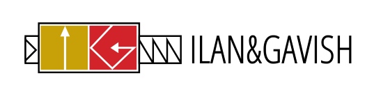 Ilan & Gavish logo